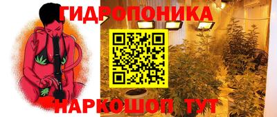 хмурый Малгобек