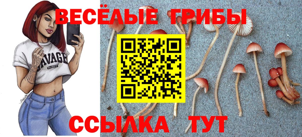 Псилоцибиновые грибы GOLDEN TEACHER Владимир
