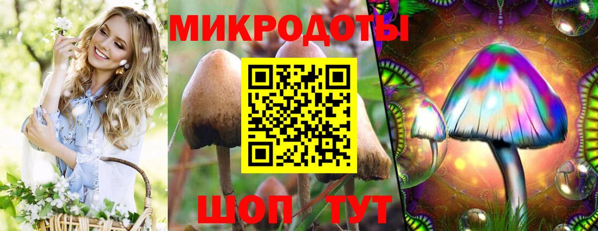 Владимир  купить наркотики цена  Вход с VPN  Галлюциногенные грибы Psilocybine cubensis 